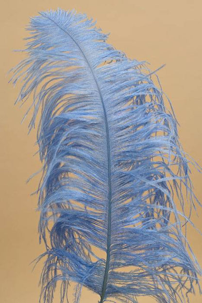 14"-16" Single Ostrich Feather Light Blue