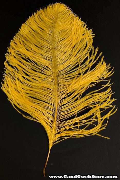 14&quot;-16&quot; Ostrich Feather Gold Pkg/12