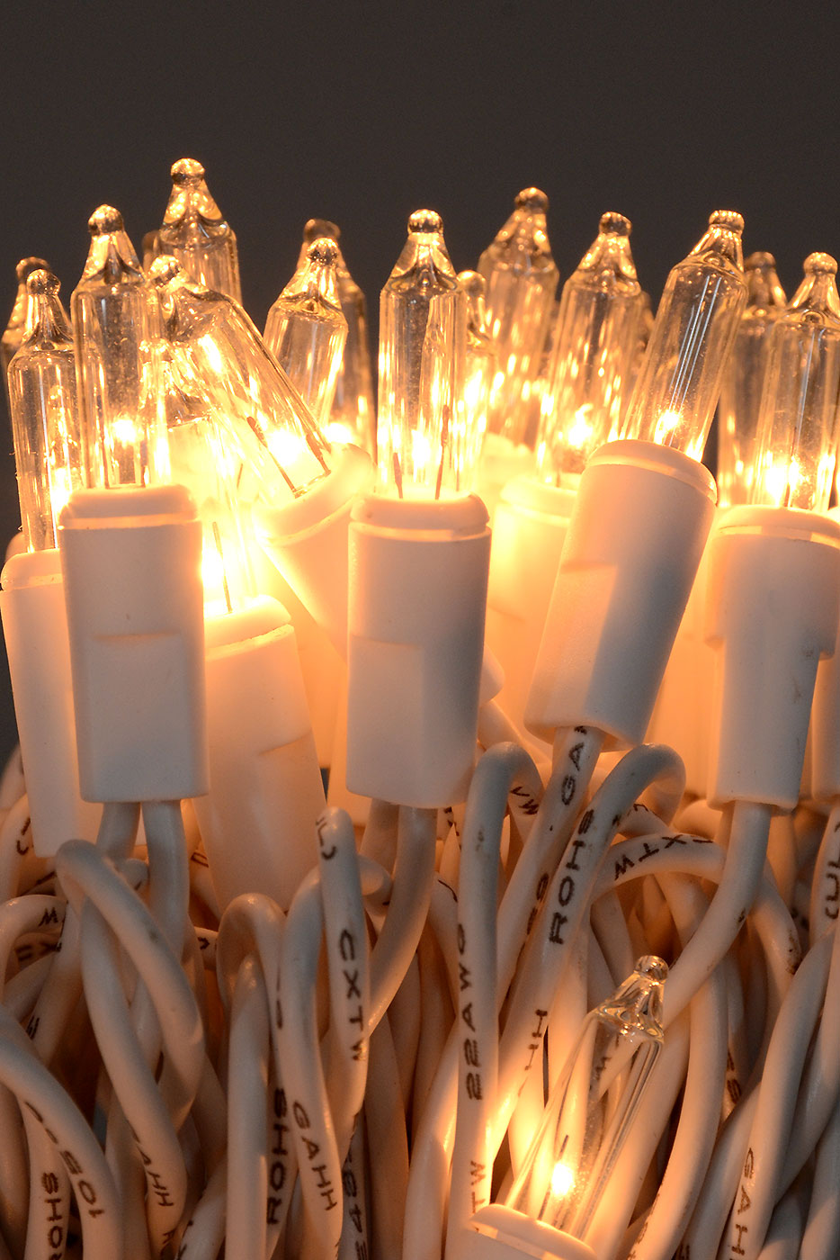 36.5ft Lights Set Clear W/white Wire