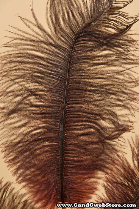 29" Feather Spray Burgundy