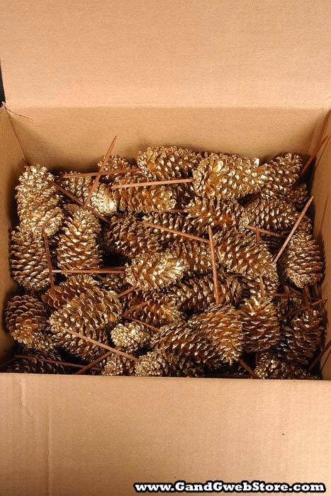 Medium Cone W/pick Gold Box/100