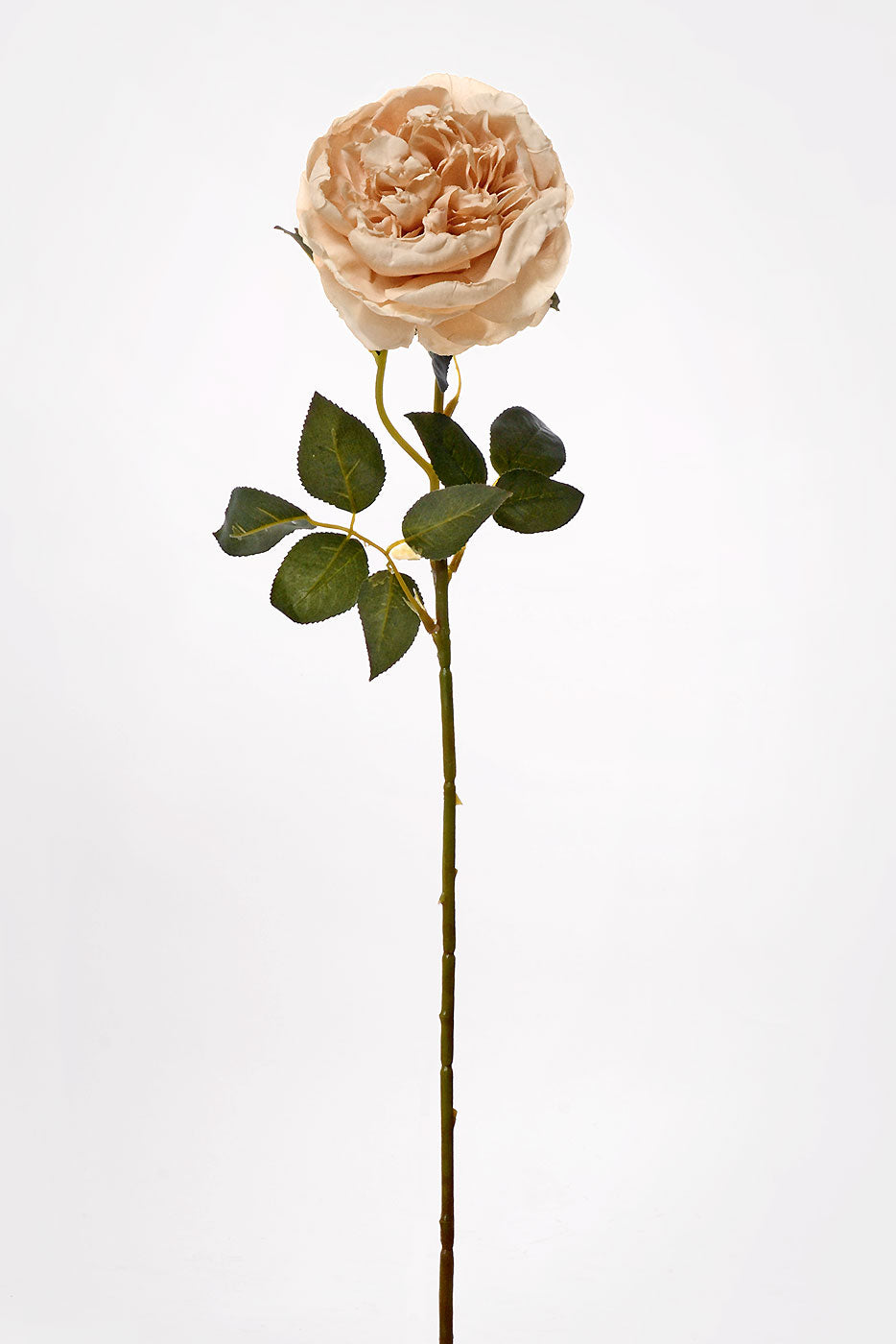 24.5" Silk Cottage Rose Spray Beige