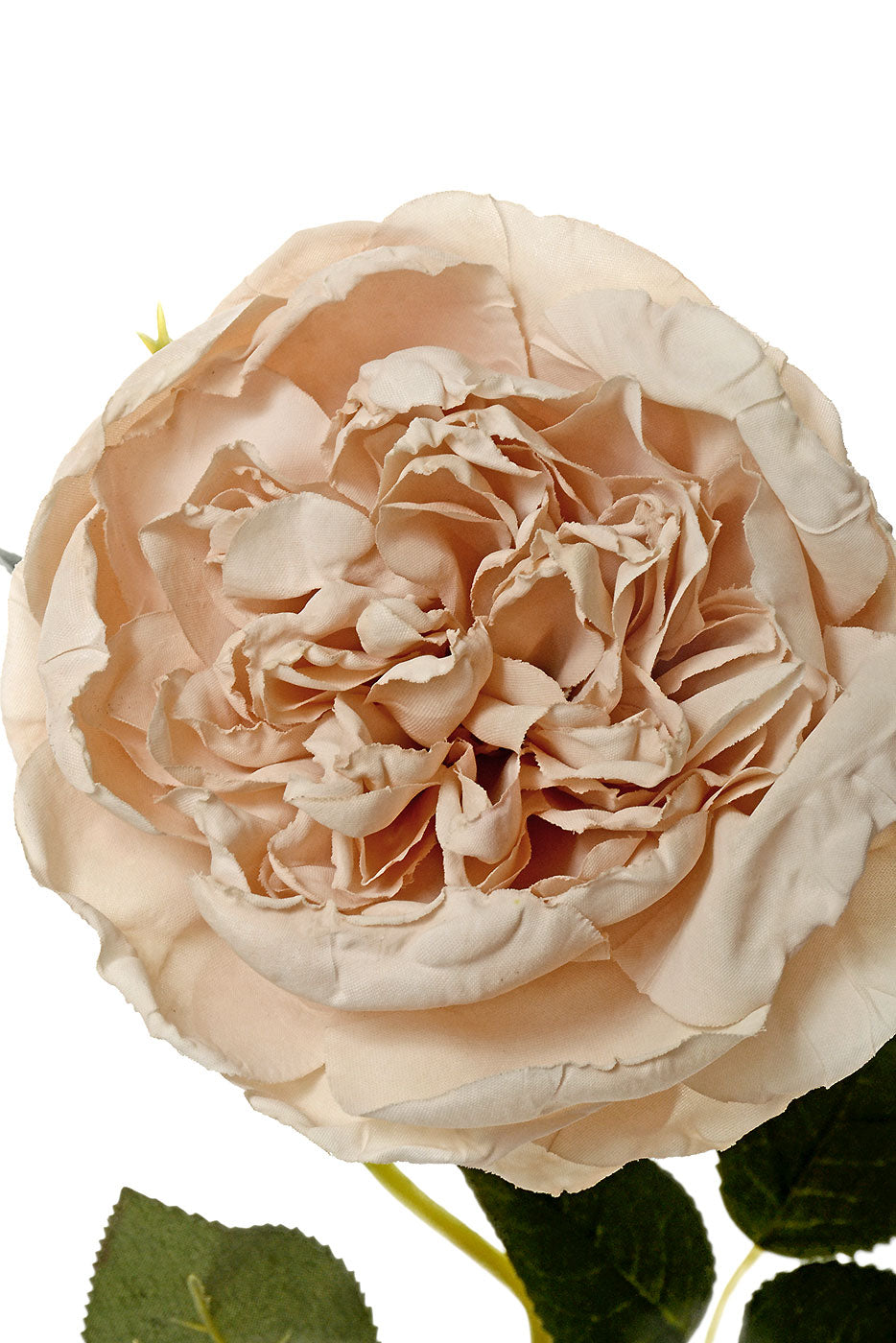 24.5" Silk Cottage Rose Spray Beige