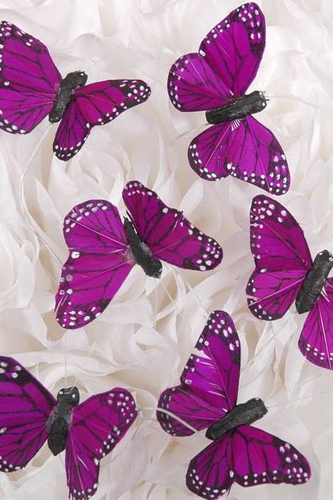 2&quot; Butterfly Purple Pkg/12