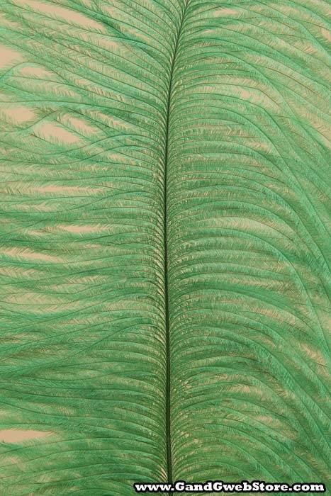 29" Feather Spray Emerald