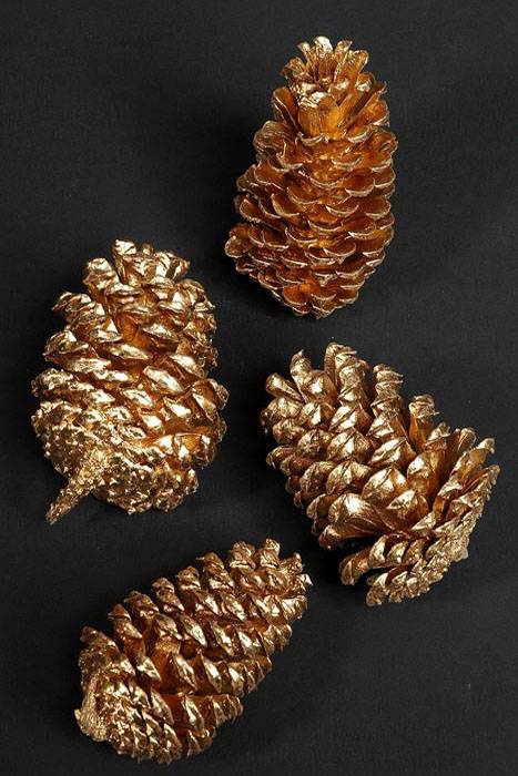 Medium Cone Gold Box/100