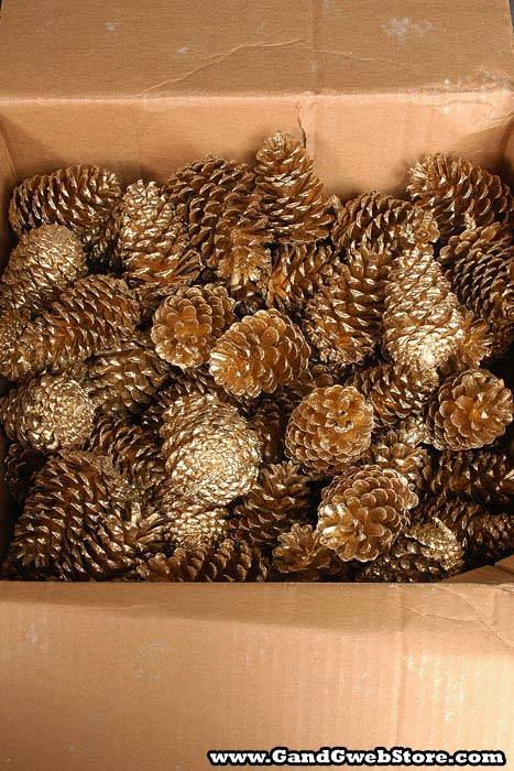 Medium Cone Gold Box/100