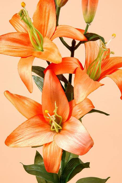 28" Silk Garden Lily Spray Orange