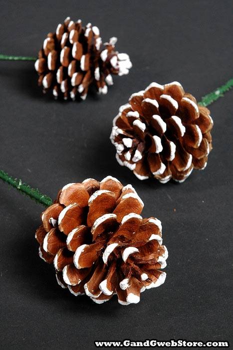 2.5&quot; Pine Cone W/white Tip Natural Pkg/12