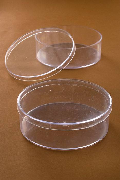 4.5"  Round Box Clear (Pkg/12)
