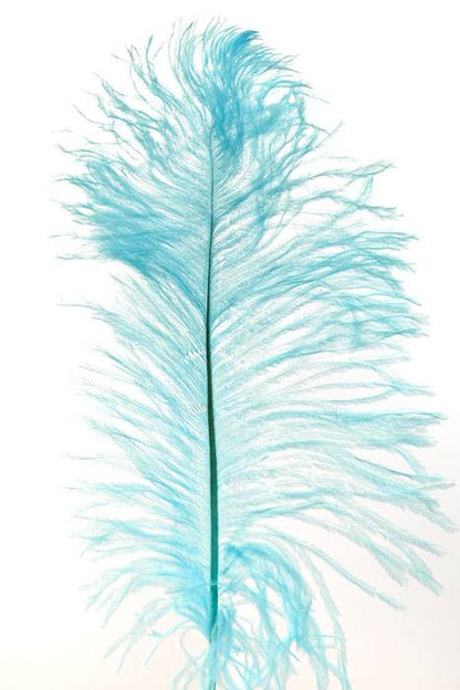 12"-14" Ostrich Feather Light Blue Pkg/12