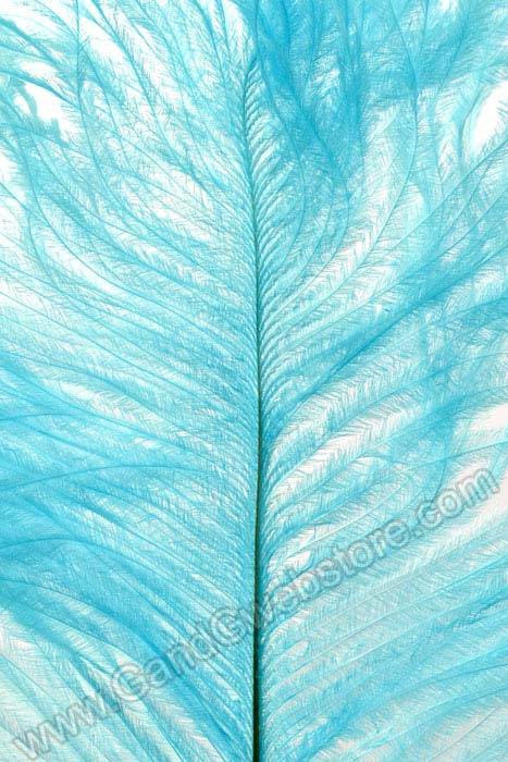 12"-14" Ostrich Feather Light Blue Pkg/12