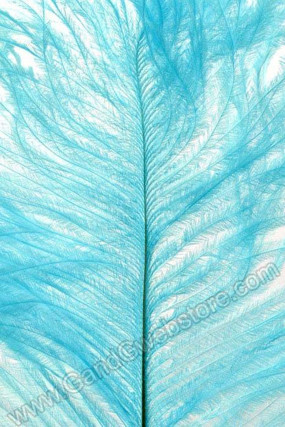12"-14" Ostrich Feather Light Blue Pkg/12
