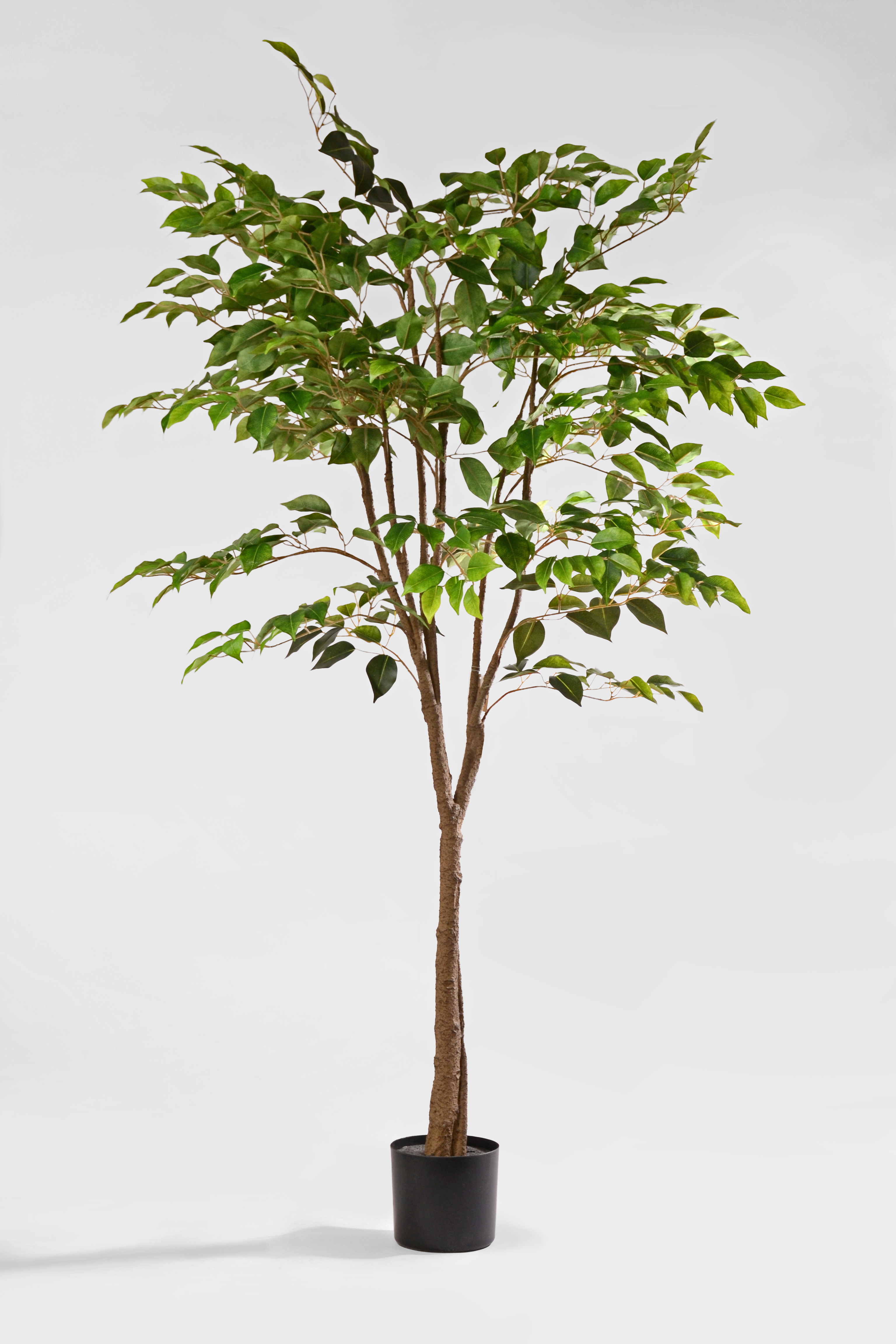 5Ft Artificial Ptd Uv Treat Ficus Tree Tt/Green