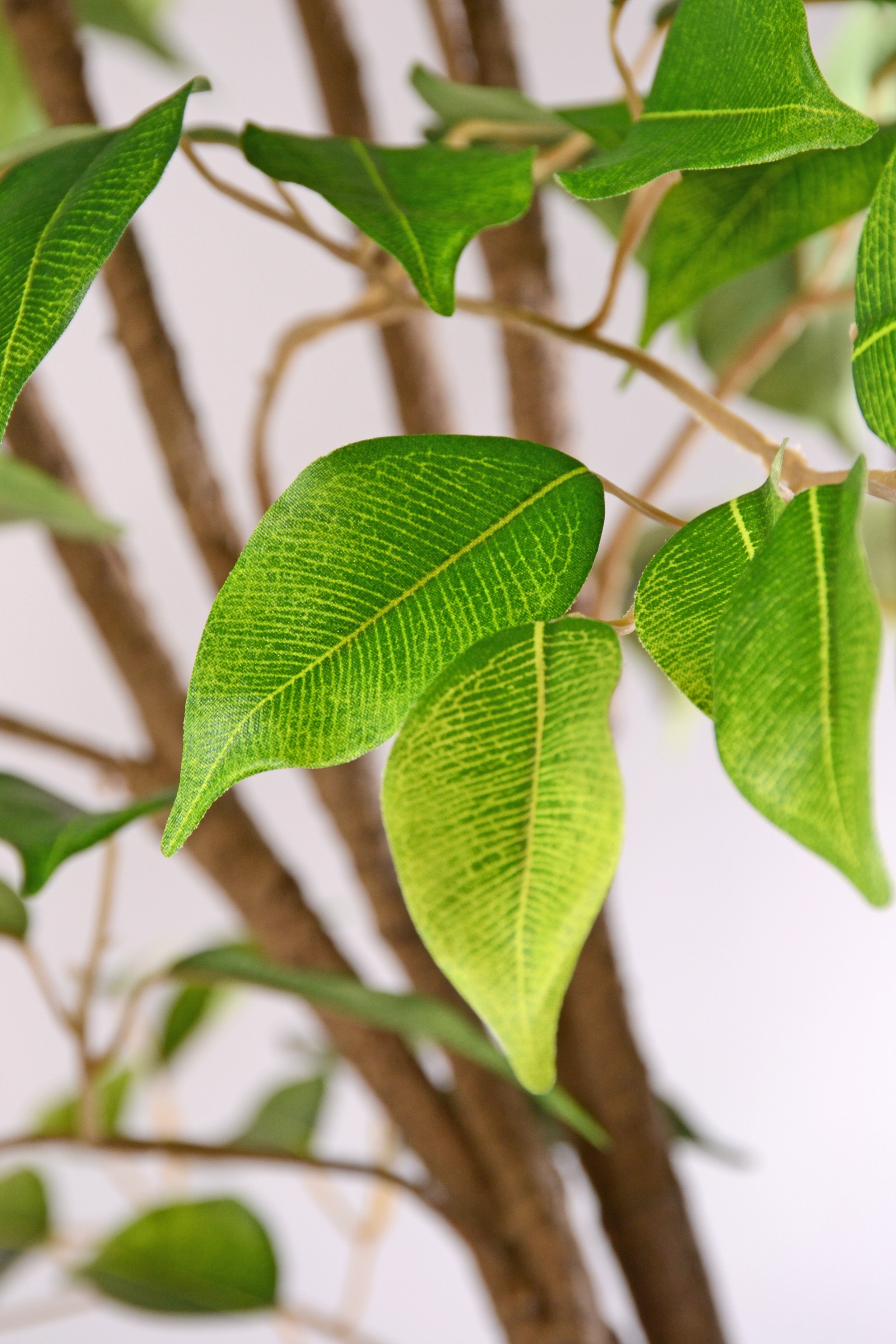 5Ft Artificial Ptd Uv Treat Ficus Tree Tt/Green