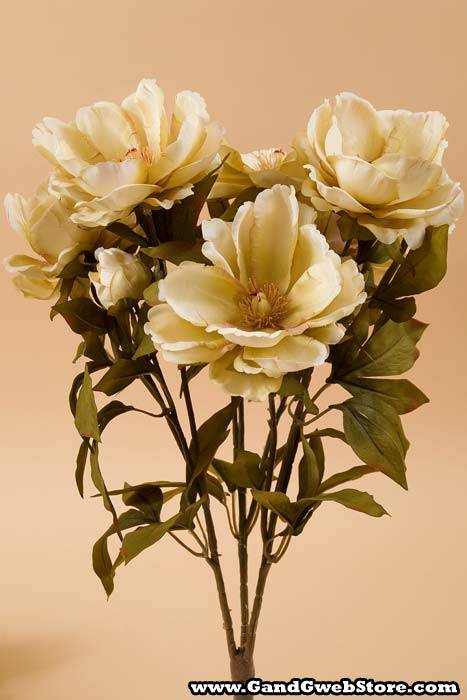 23" Magnolia Bush Beige