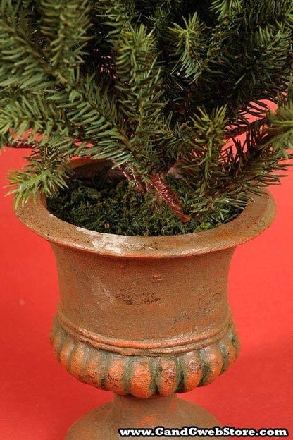 Small Tree In Pot