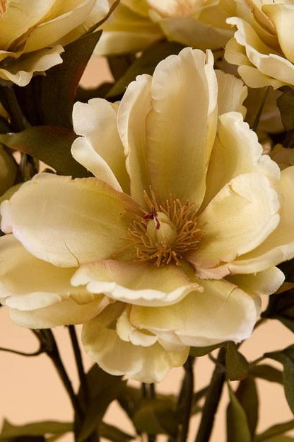 23" Magnolia Bush Beige