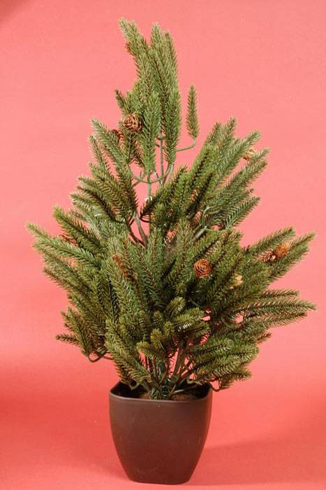 2ft Angel Pine Tree W/cone Green