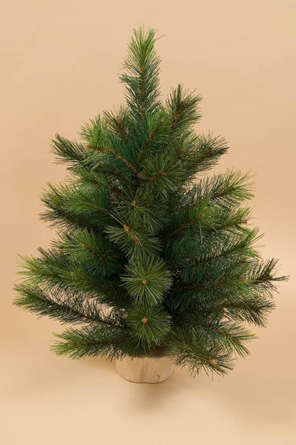 24" Royal Oregon Tree W/53 Tips Green