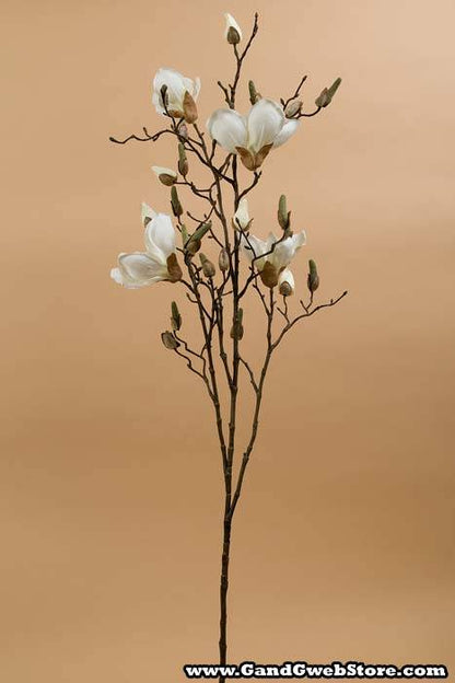 44" Magnolia Spray Cream