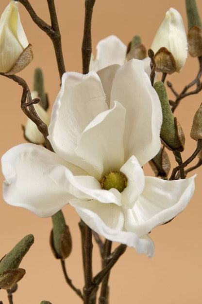 44" Magnolia Spray Cream