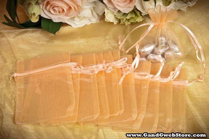 3" X 4" Sheer Pouches Bag Peach Pkg/12