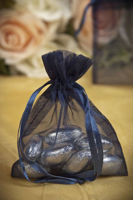 3" X 4" Sheer Pouches Bag Navy Pkg/12