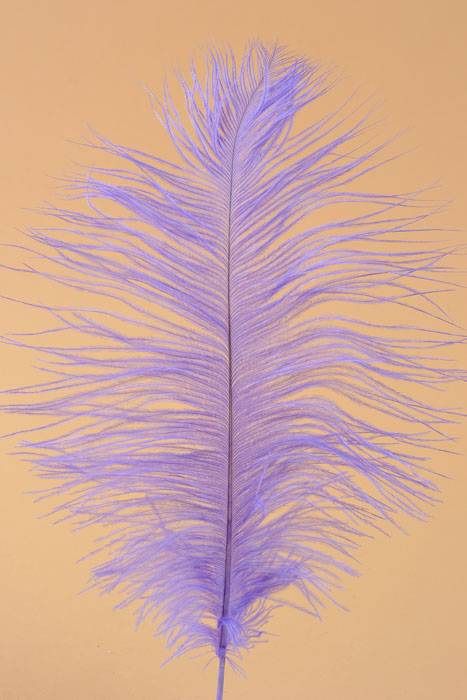 12" - 14" Ostrich Feather Lavender Pkg/12