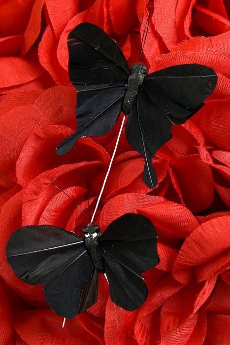 3&quot; Butterfly Assorted Pure Black Pkg/12