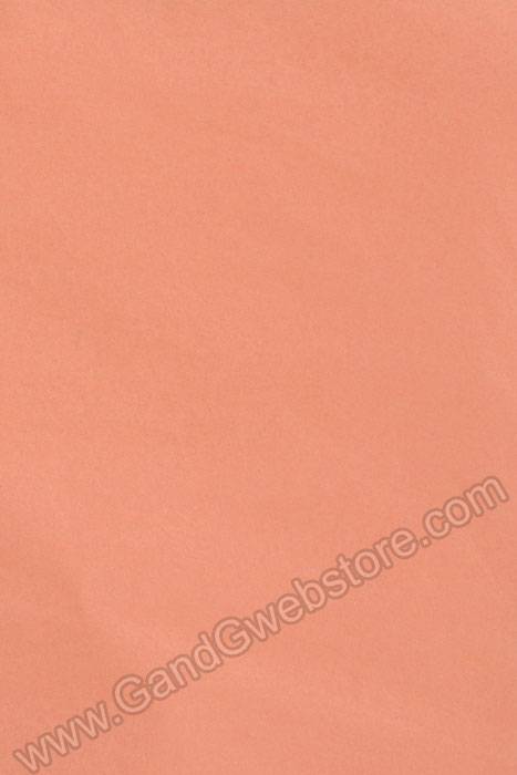 20" X 30" Tissue Paper Peach Pkg/24