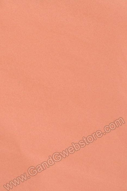 20" X 30" Tissue Paper Peach Pkg/24