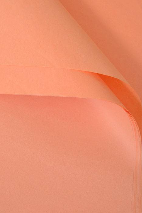 20" X 30" Tissue Paper Peach Pkg/24