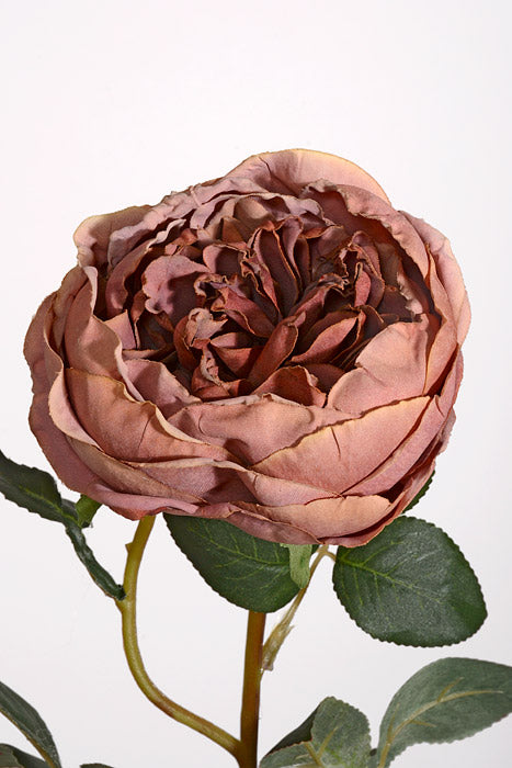 24.5" Silk Cottage Rose Spray Brown