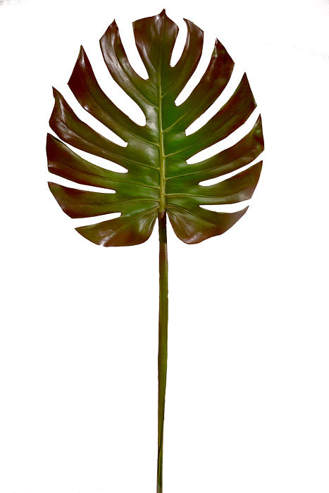 41" Monstera Leaf Spray Green