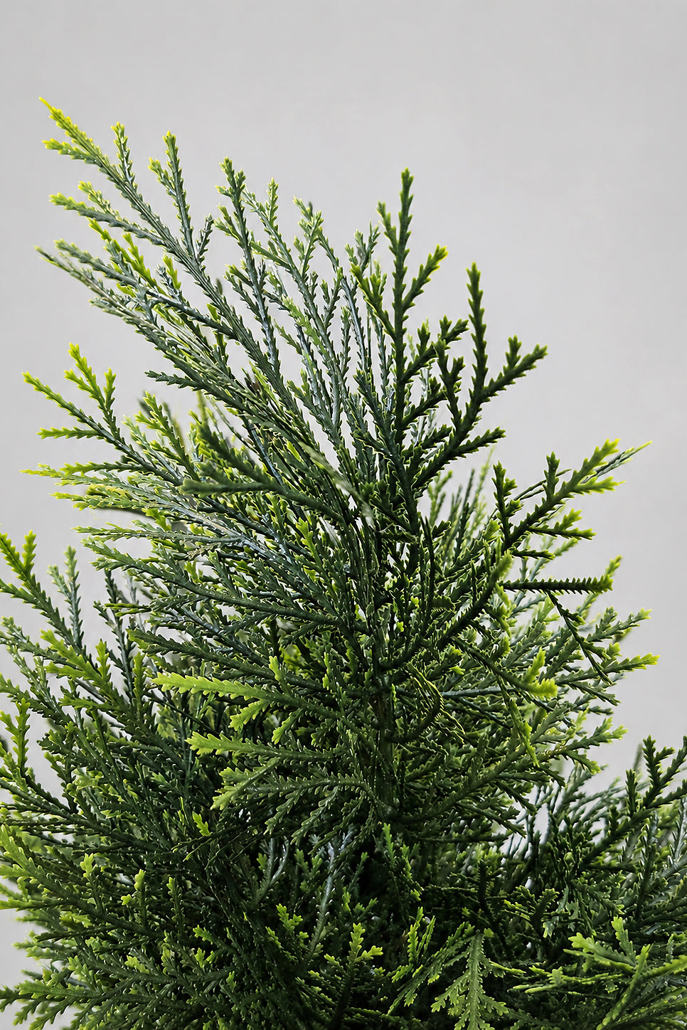 72" Uv Protected Cedar Topiary In Pot Green