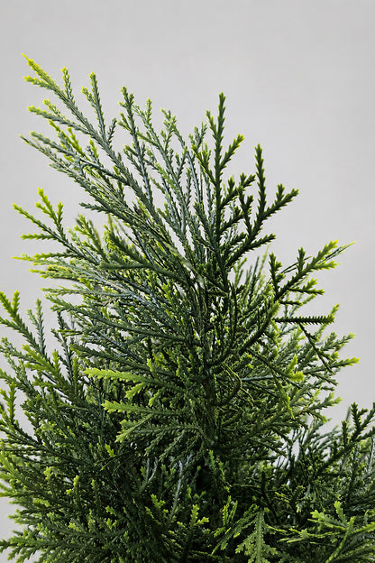 72" Uv Protected Cedar Topiary In Pot Green