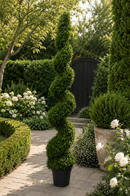 6Ft  Pond Boxwood Spiral Topiary in pot Green