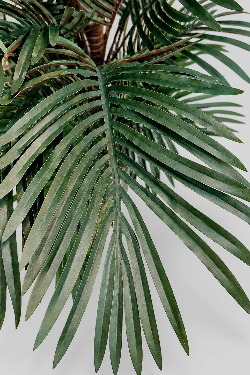 6Ft Artificial Phoenix Palm Tree In Pot Green