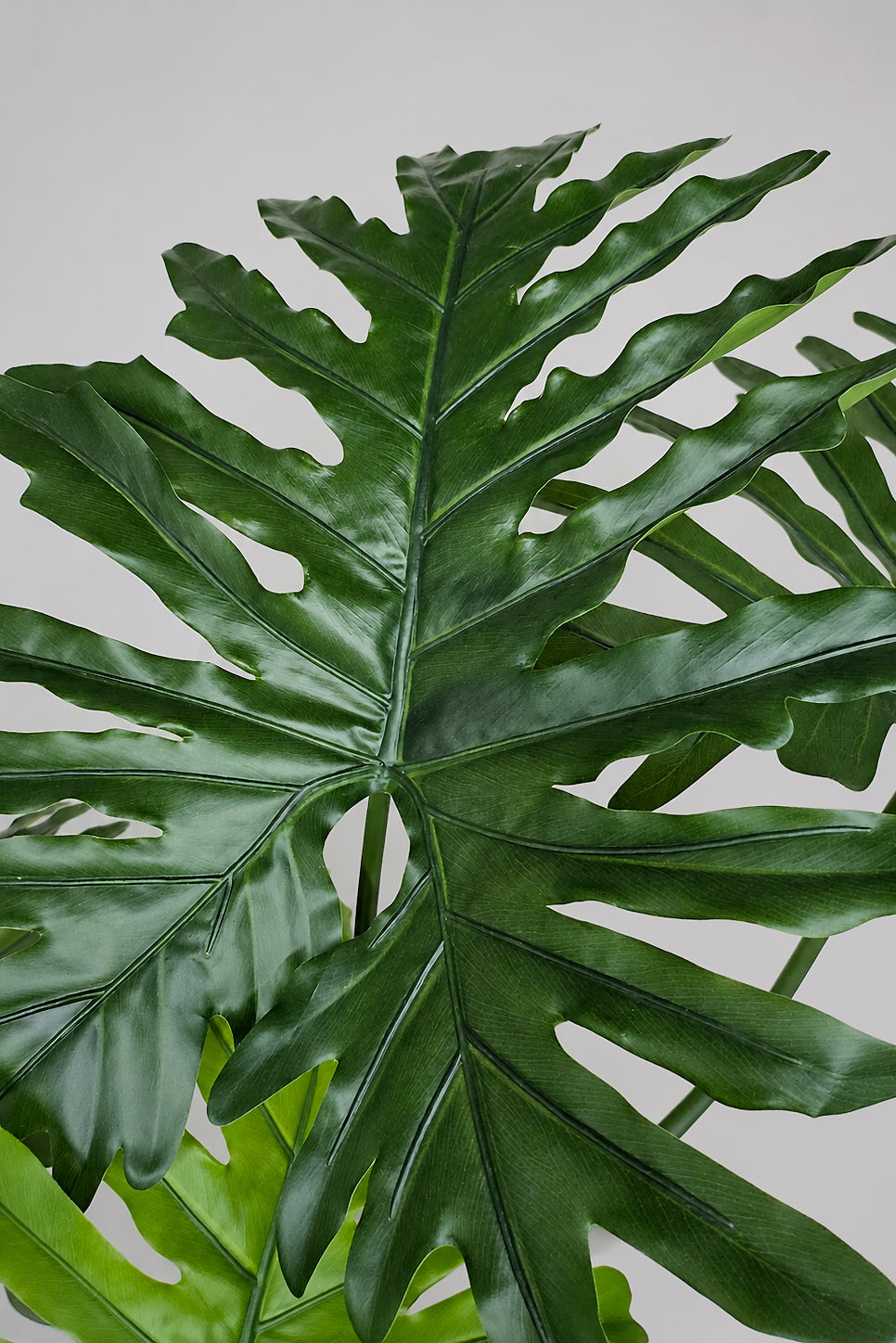 63" Artificial Philo Selloum Tree In Pot Green