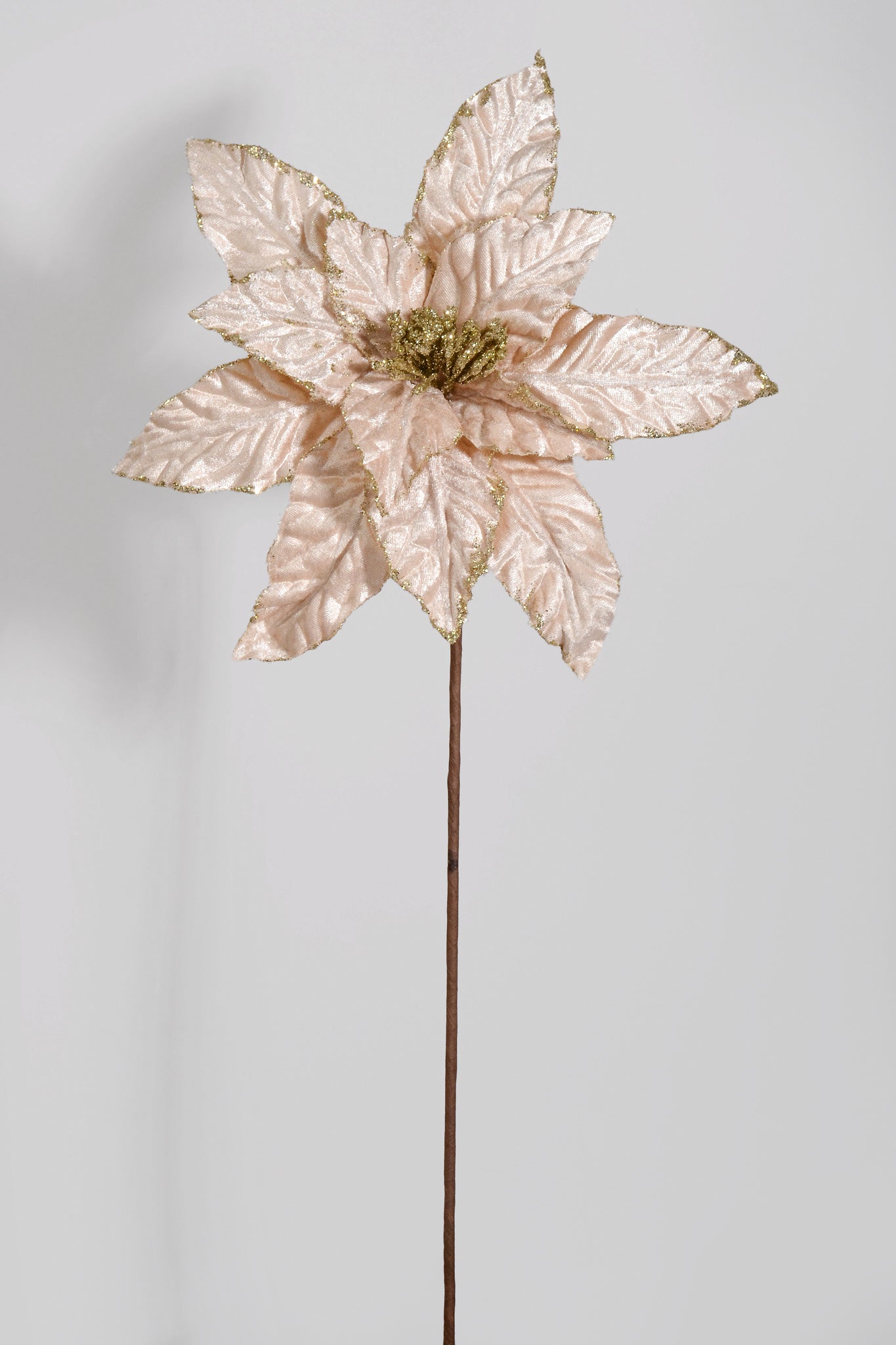 27" Glitter Edge Velvet Poinsettia Stem Champagne