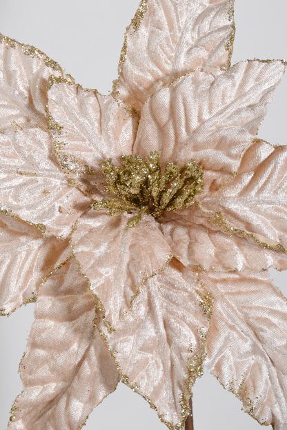 27" Glitter Edge Velvet Poinsettia Stem Champagne