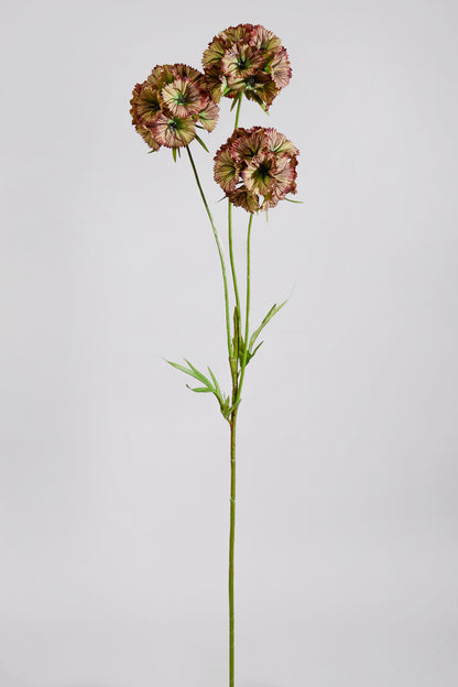 32" Silk Scabiosa Spray Green/Burgundy