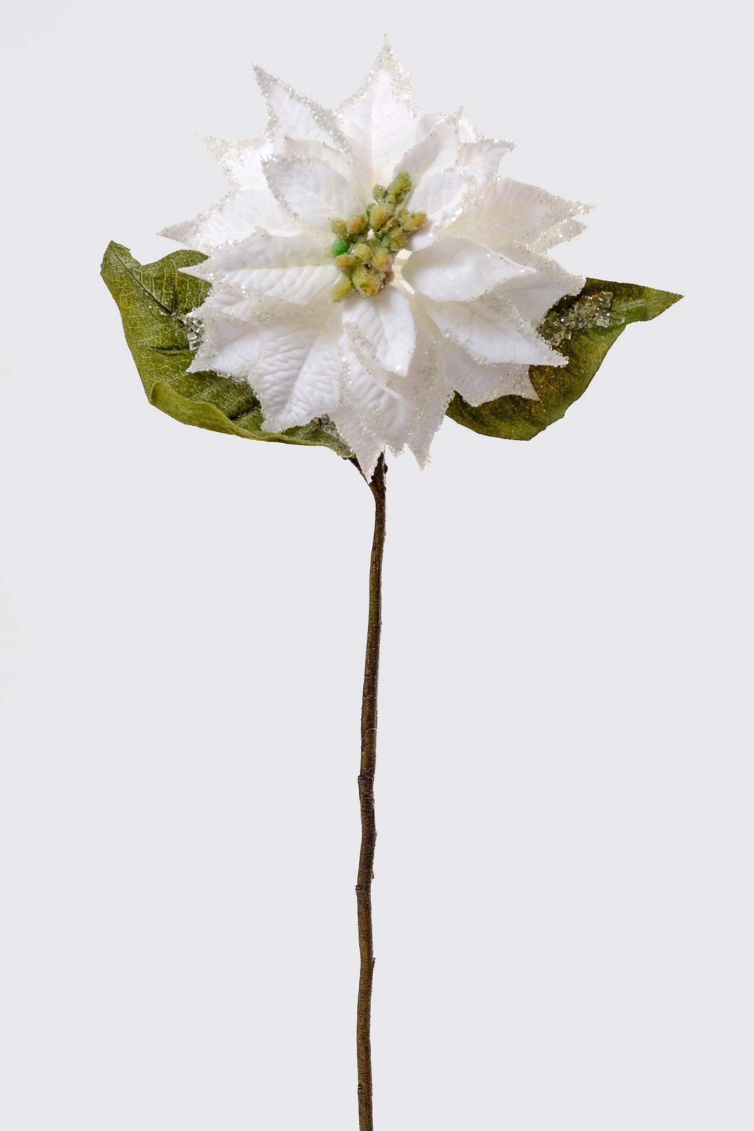 24" Velvet Iced Glitter Poinsettia Stem White