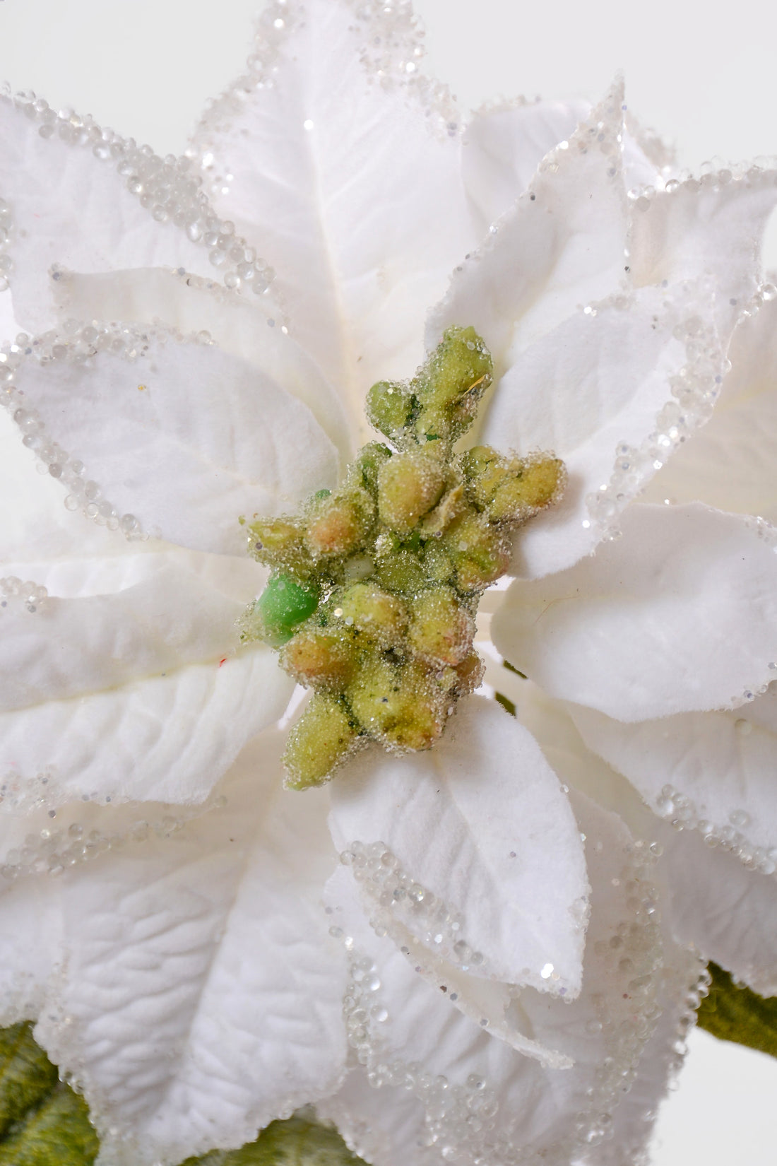 24" Velvet Iced Glitter Poinsettia Stem White