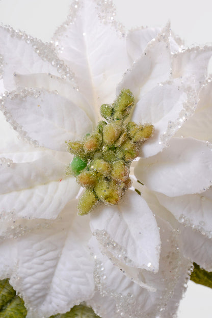 24" Velvet Iced Glitter Poinsettia Stem White