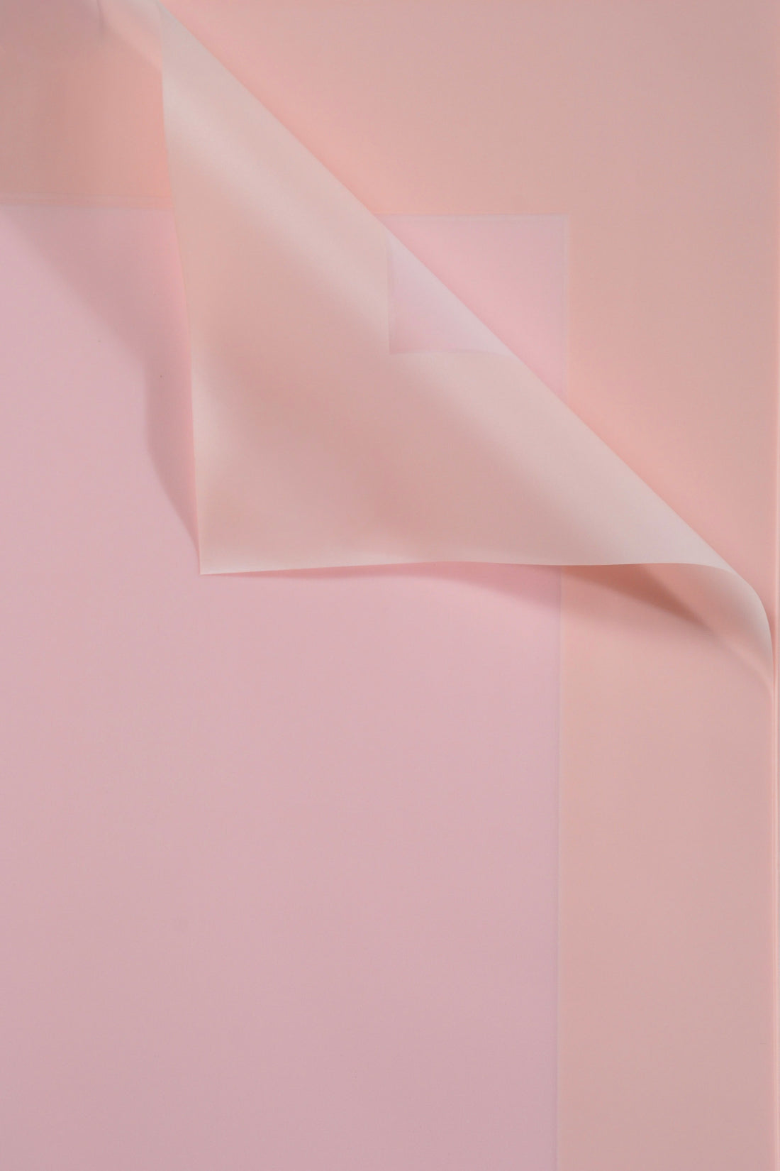 22.5" Flower Wrapping Paper W/Edge Light Pink Pkg20