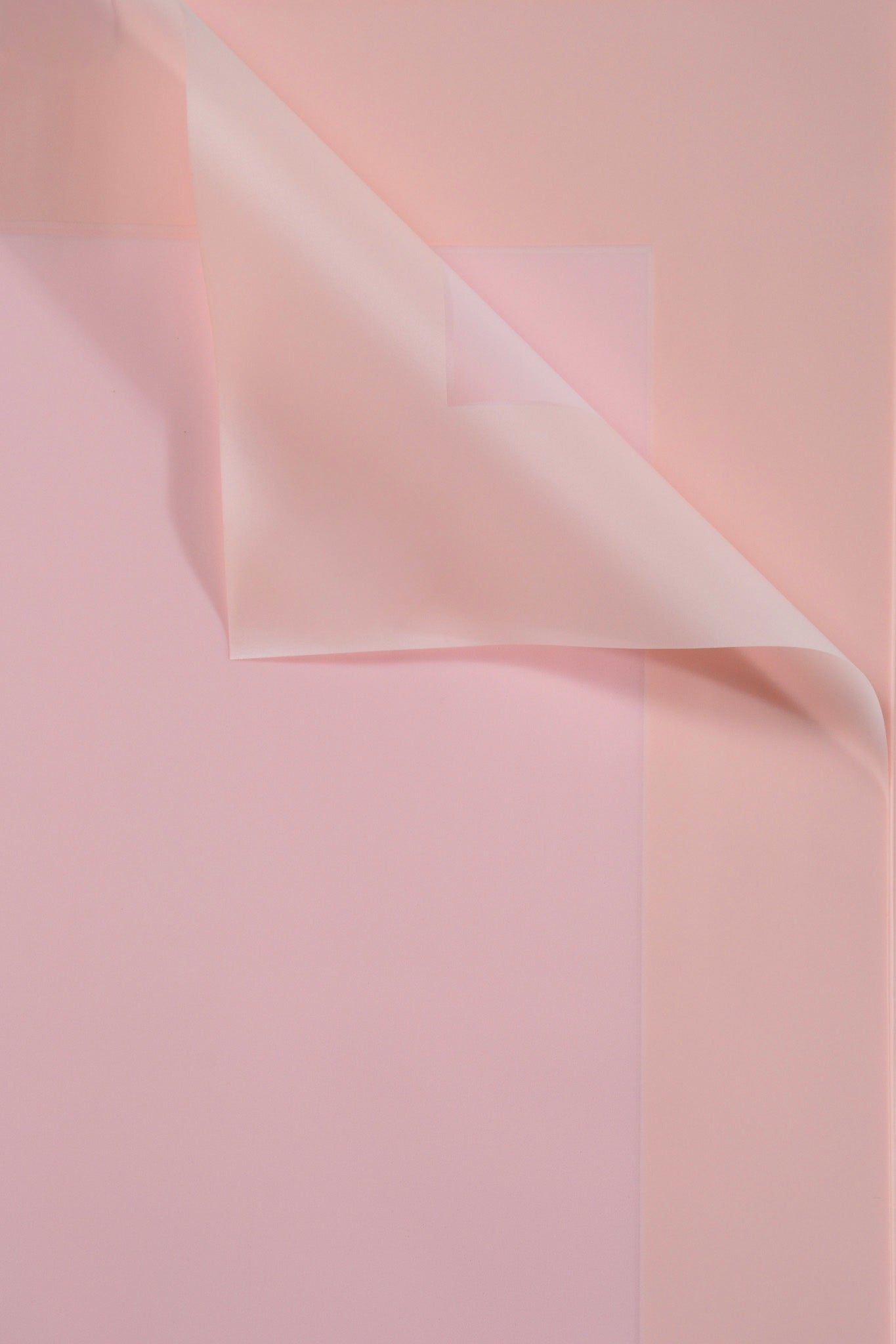 22.5" Flower Wrapping Paper W/Edge Light Pink Pkg20