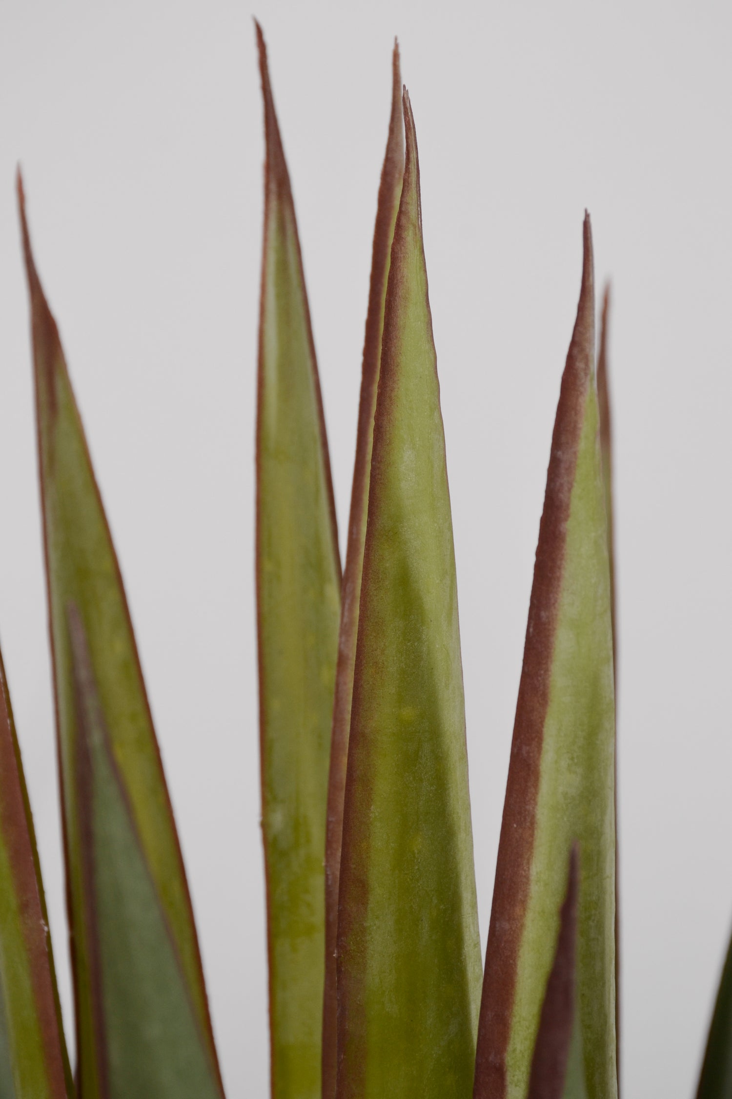 37" Artificial Agave Plant In Pot Green