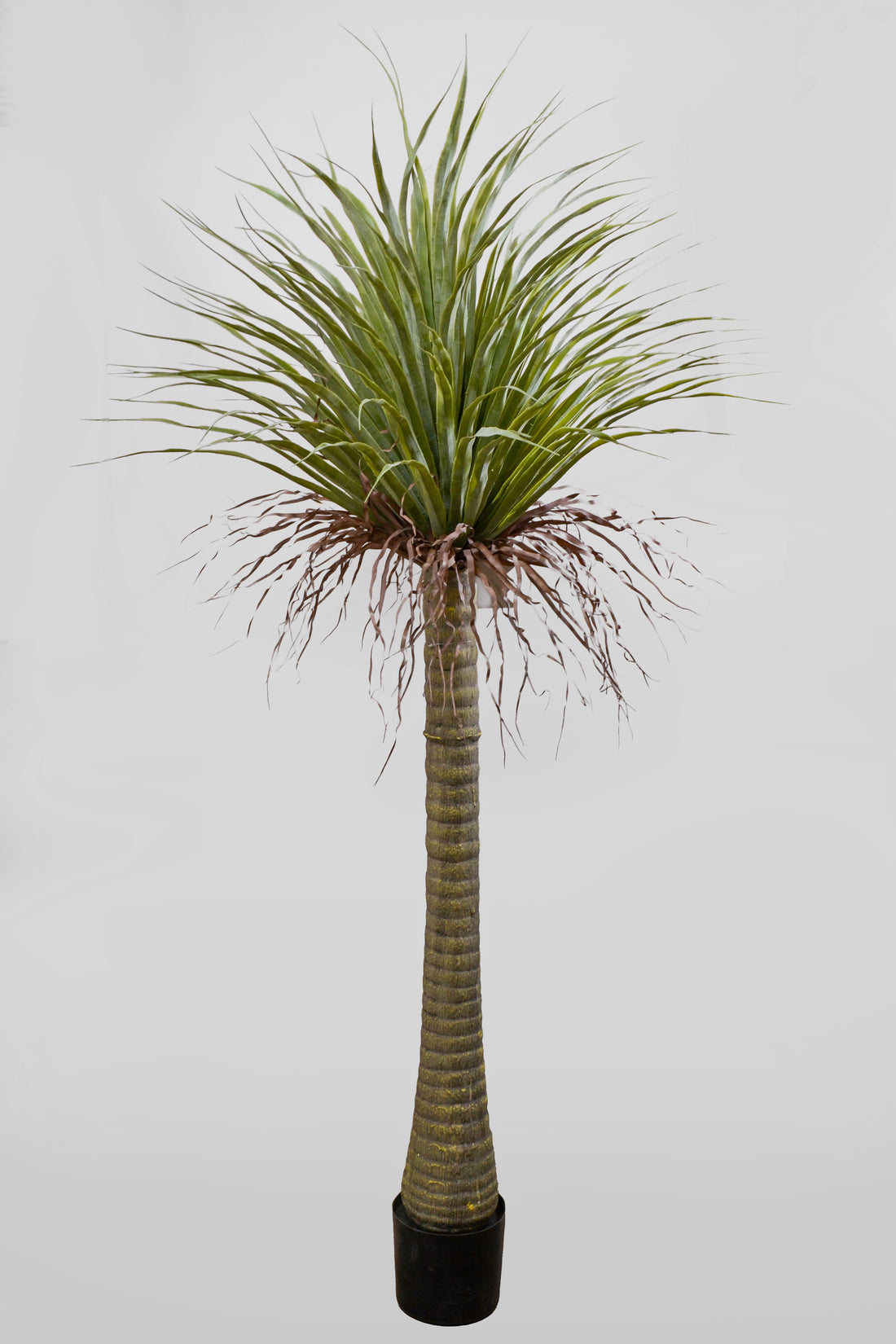 5.5Ft Artificial Pandanifolia Tree Grass Green/Beige